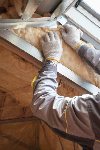 Best Specialized Insulation Services in Mckinney, TX